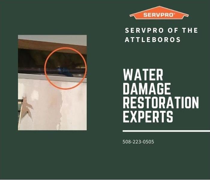 water damage restoration experts