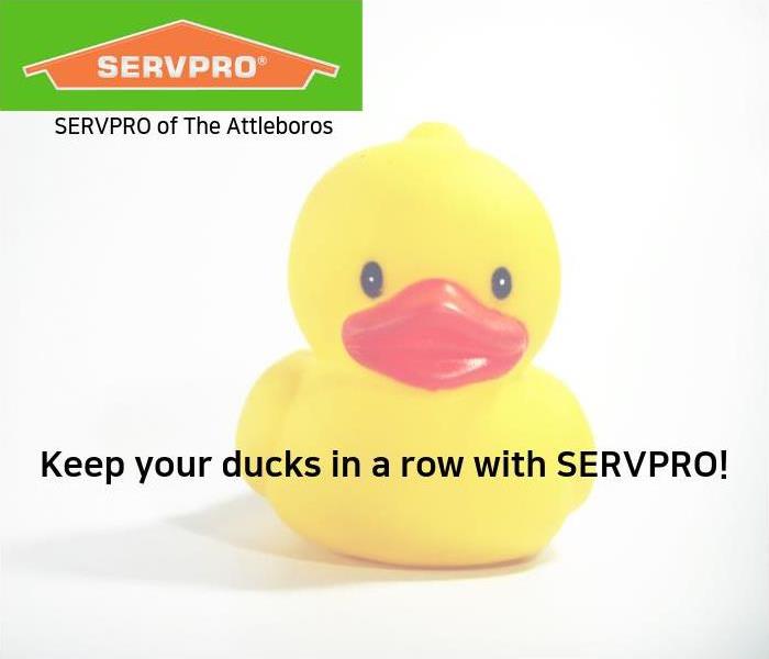 rubber duck with caption "Keep your ducks in a row with SERVPRO"