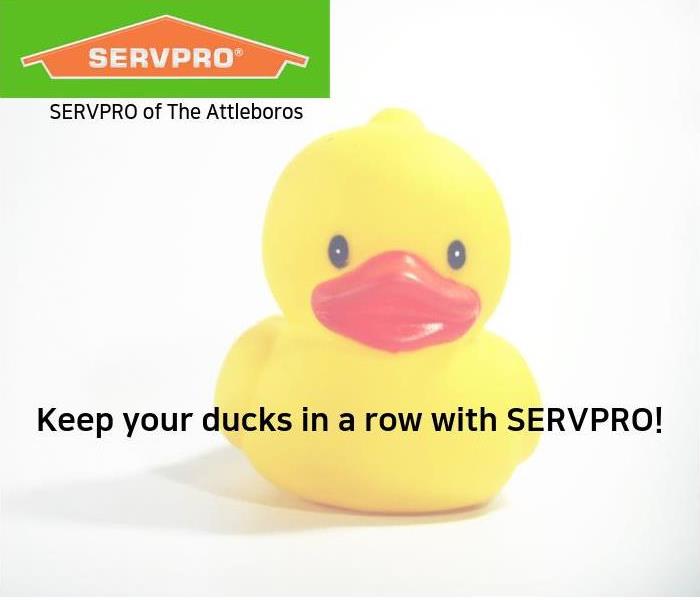 rubber duck and logo